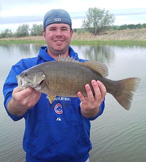 Smallmouth Bass caught on the Missouri River i...